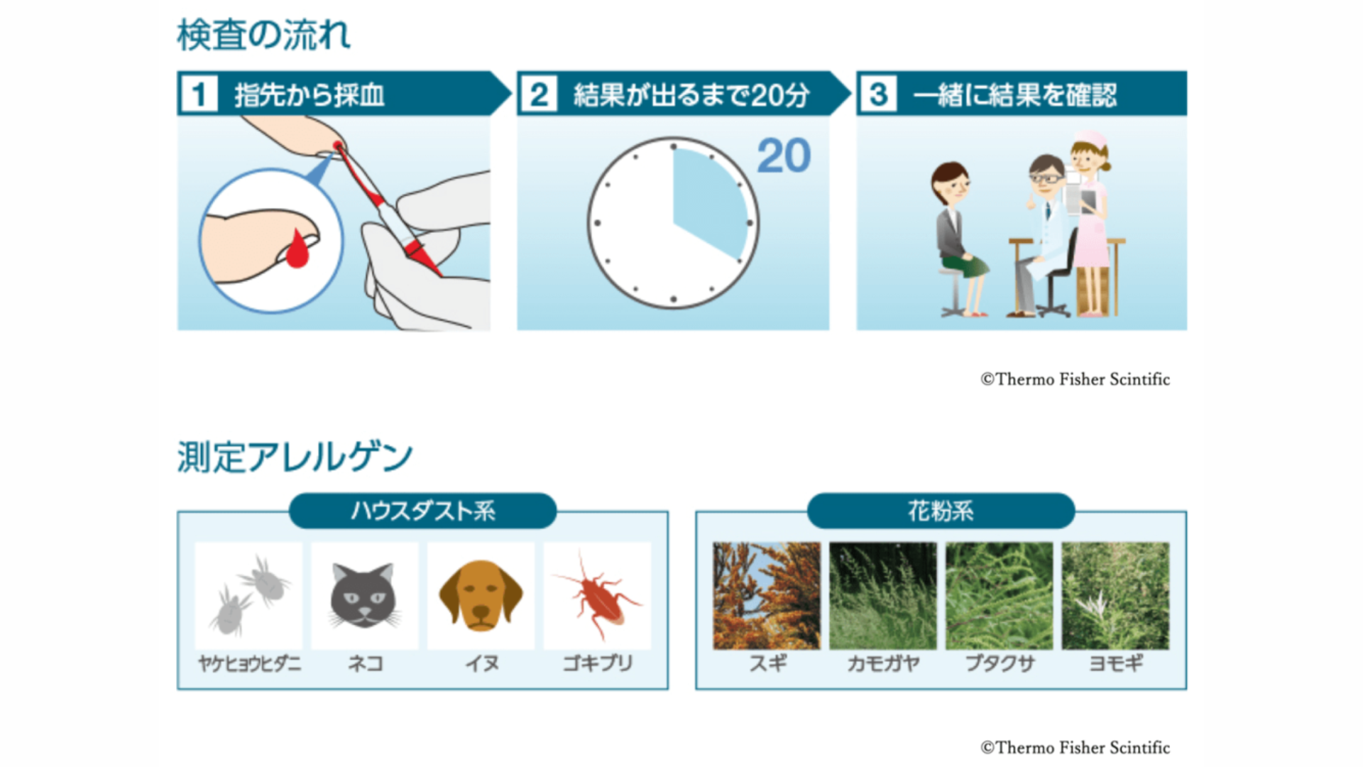 アレルギー検査