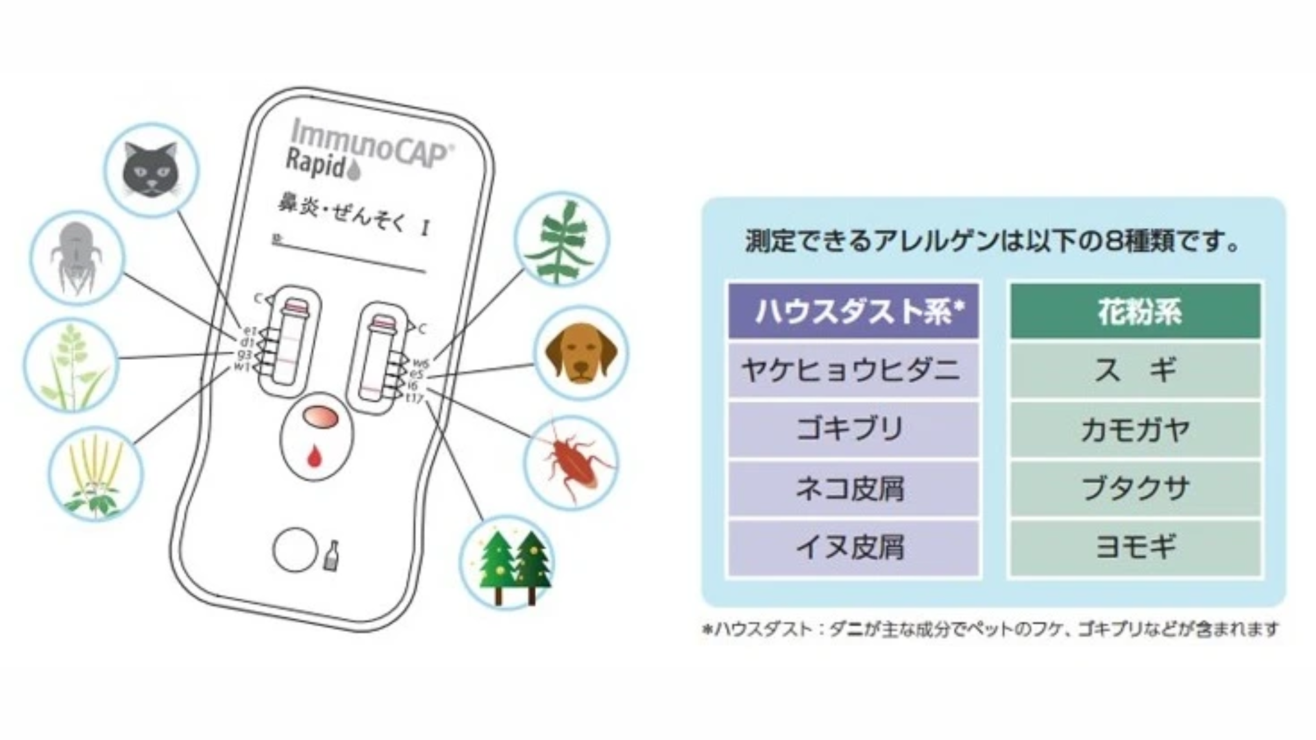 アレルギーの種類